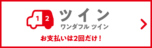 ツイン ワンダフル ツイン